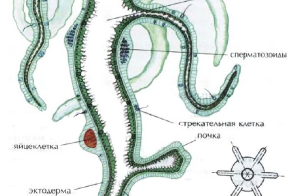 Кракен маркет плейс