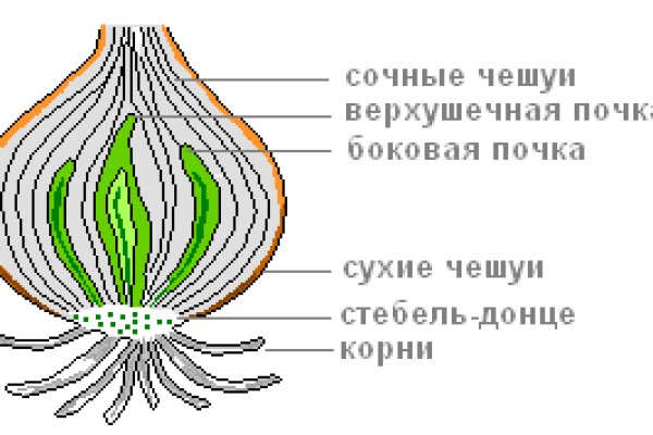 Кракен площадка даркнет